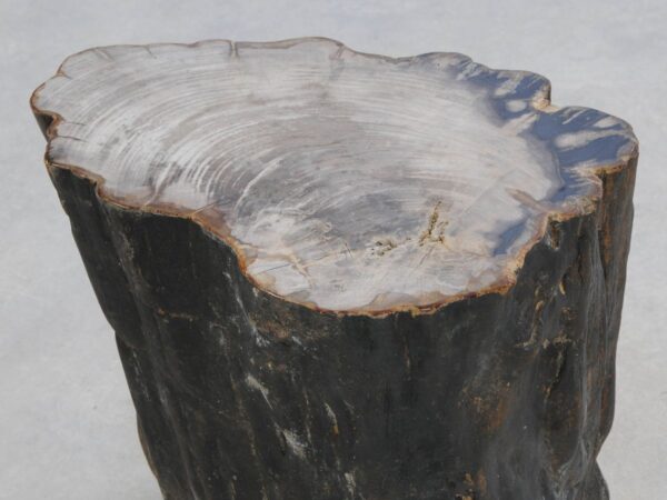 Side table petrified wood 47039