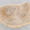 Table basse bois pétrifié 46176