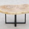 Table basse bois pétrifié 46176