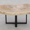 Table basse bois pétrifié 46178