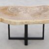 Table basse bois pétrifié 46179