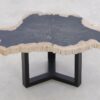 Table basse bois pétrifié 46204e