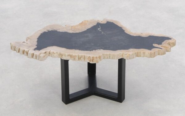 Table basse bois pétrifié 46204h
