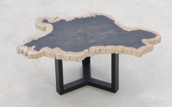 Table basse bois pétrifié 46204i
