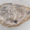 Table basse bois pétrifié 47116