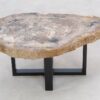 Table basse bois pétrifié 47116