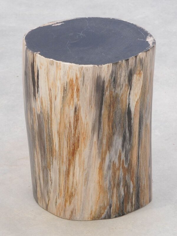 Table d'appoint bois pétrifié 46012