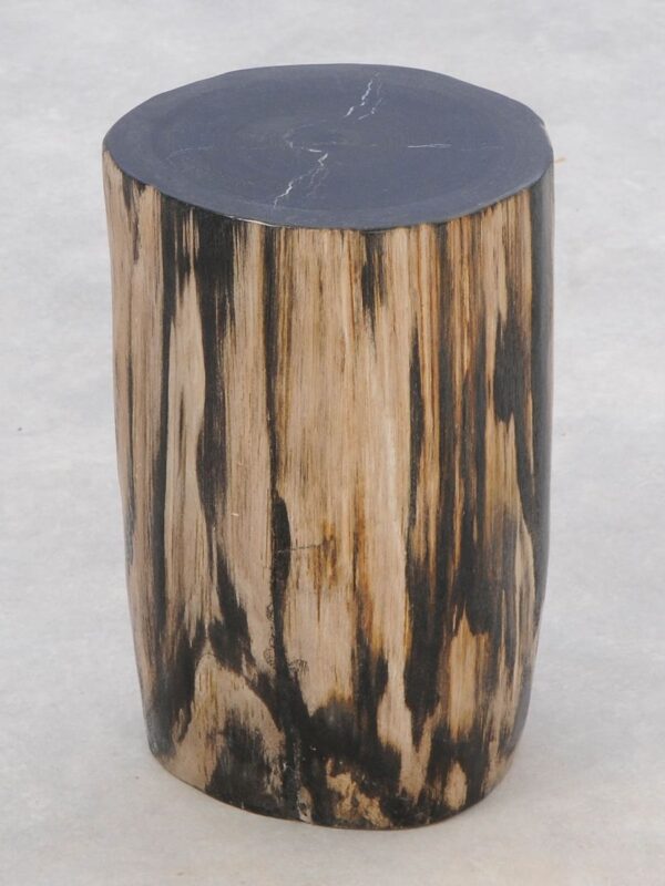 Table d'appoint bois pétrifié 46017