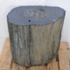 Table d'appoint bois pétrifié 46019