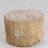 Table d'appoint bois pétrifié 47000