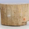 Table d'appoint bois pétrifié 47000