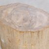 Table d'appoint bois pétrifié 47000