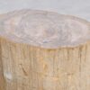 Table d'appoint bois pétrifié 47000