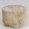 Table d'appoint bois pétrifié 47000