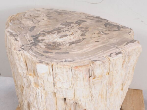 Table d'appoint bois pétrifié 47001