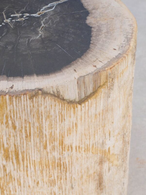 Table d'appoint bois pétrifié 47032