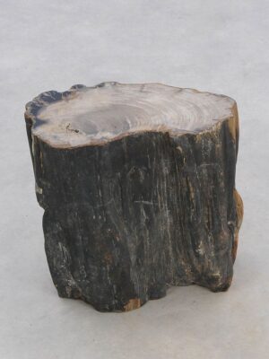 Table d'appoint bois pétrifié 47040