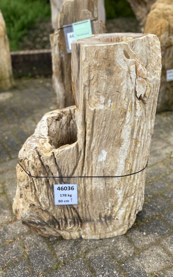Grabstein versteinertes Holz 46036