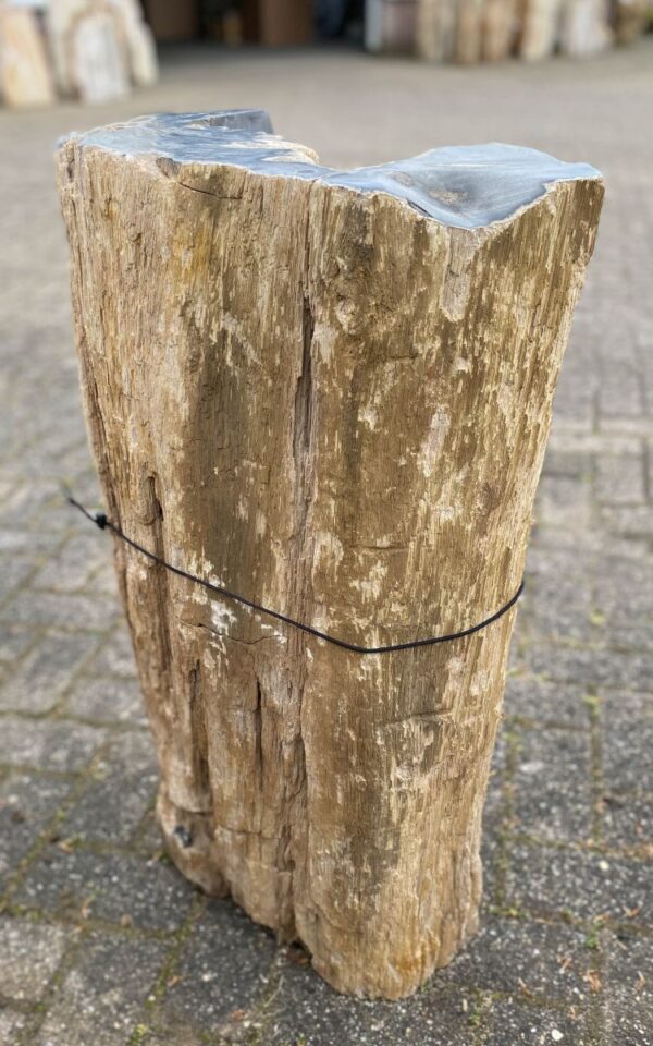 Grabstein versteinertes Holz 46037