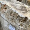 Grabstein versteinertes Holz 46085