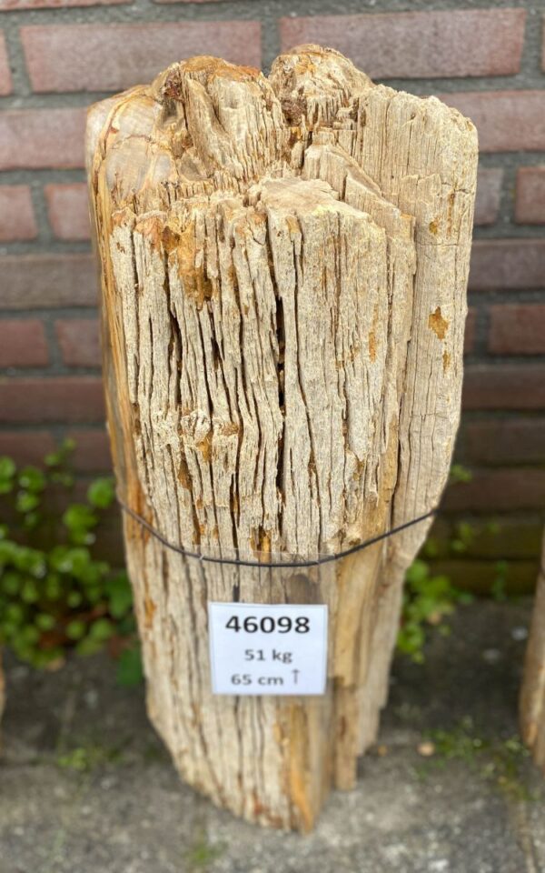 Grabstein versteinertes Holz 46098