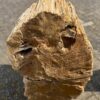 Grabstein versteinertes Holz 46112