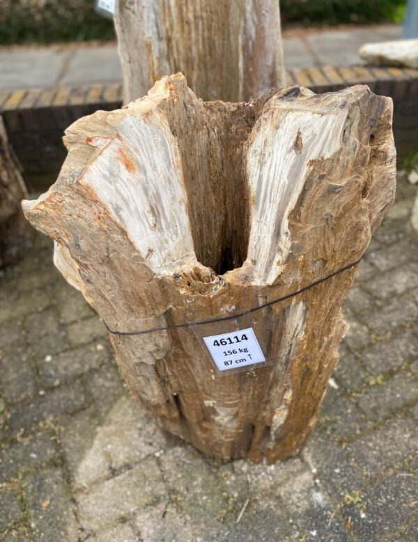 Grabstein versteinertes Holz 46114