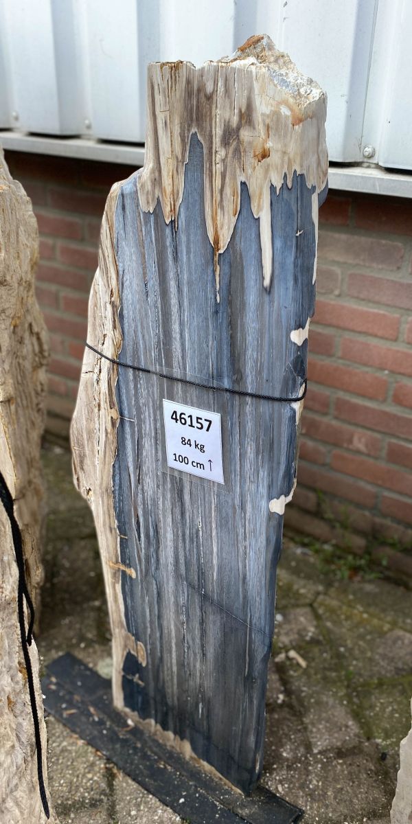 Grabstein versteinertes Holz 46157