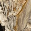 Grabstein versteinertes Holz 47088