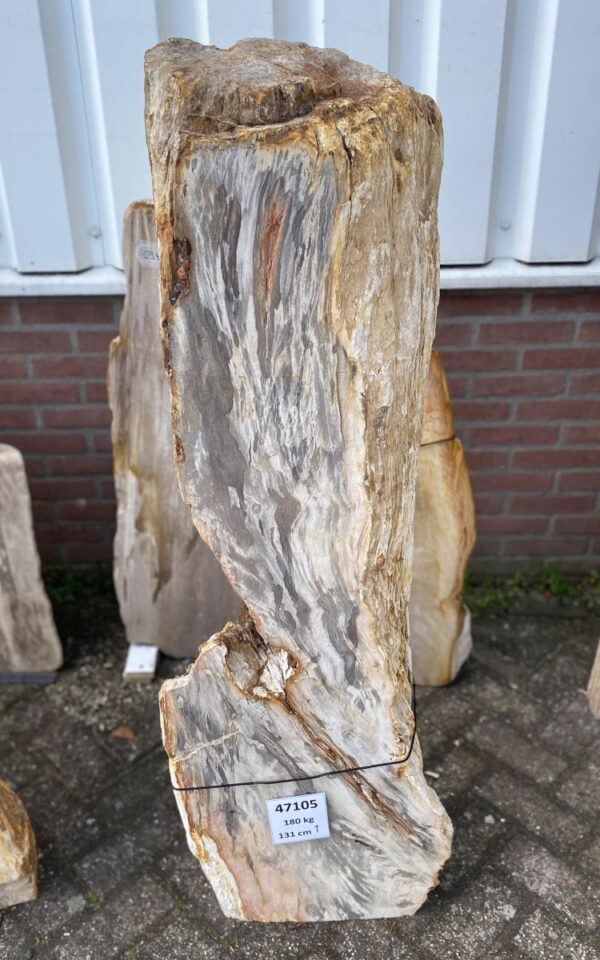 Grabstein versteinertes Holz 47105