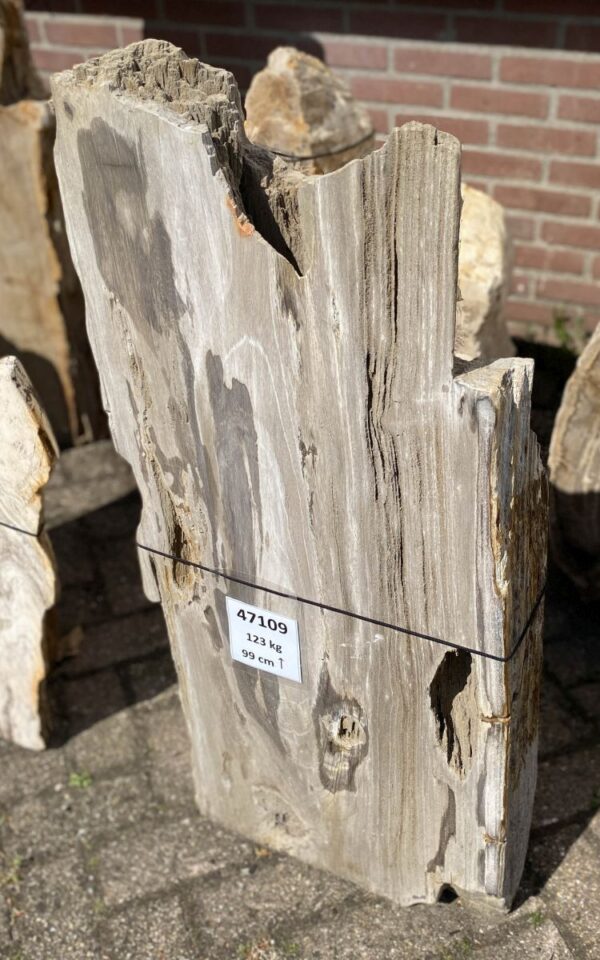 Grabstein versteinertes Holz 47109