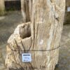 Grafsteen versteend hout 46036