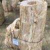 Grafsteen versteend hout 46036