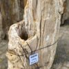 Grafsteen versteend hout 46036