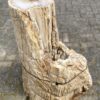 Grafsteen versteend hout 46036