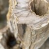 Grafsteen versteend hout 46036