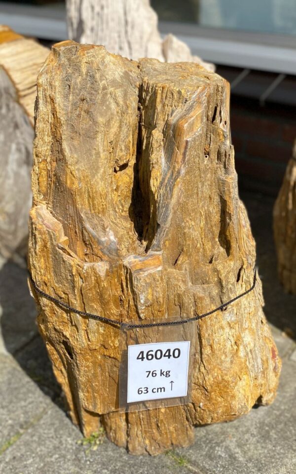 Grafsteen versteend hout 46040