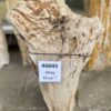 Grafsteen versteend hout 46045