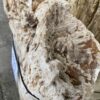 Grafsteen versteend hout 46045