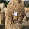 Grafsteen versteend hout 46047