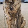 Grafsteen versteend hout 46047
