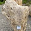 Grafsteen versteend hout 46083