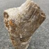Grafsteen versteend hout 46083