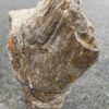 Grafsteen versteend hout 46083