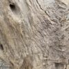 Grafsteen versteend hout 46083
