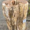Grafsteen versteend hout 46106