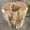 Grafsteen versteend hout 46106