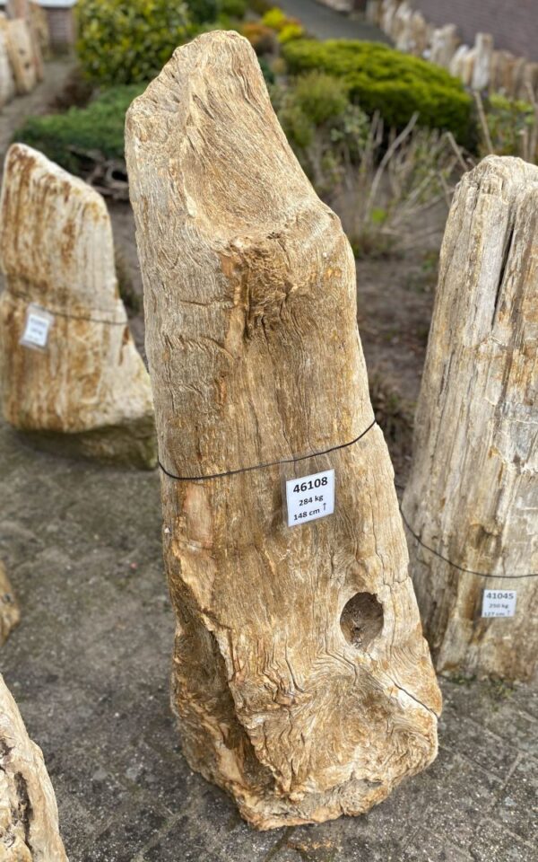 Grafsteen versteend hout 46108