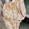Grafsteen versteend hout 46111