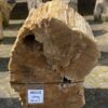 Grafsteen versteend hout 46112